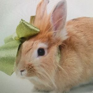 Meet your Posher, Tyrone